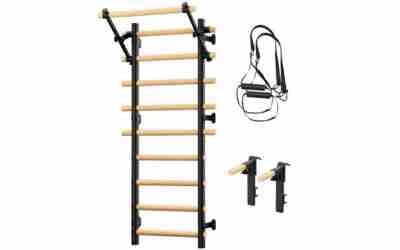 The 9 Best Swedish Ladder Dip Bars Pull Up Bar of 2026