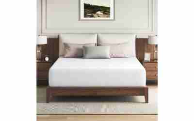 The 10 Best Reviewed Mattresses of 2026