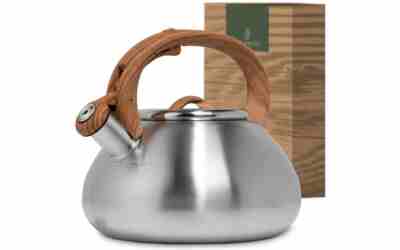 The 1 Best Tea Kettles Not Made In China of 2026