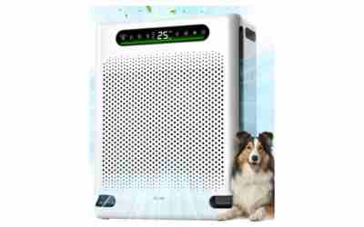 The 10 Best Air Purifier For Home of 2026