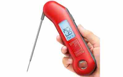 The 10 Best Leave In Meat Thermometer of 2026