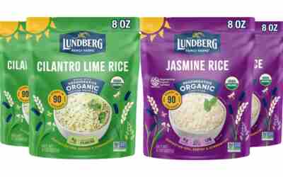 The 8 Best Jasmine Rice of 2026