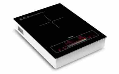 The 10 Best Portable Induction Cooktop of 2026