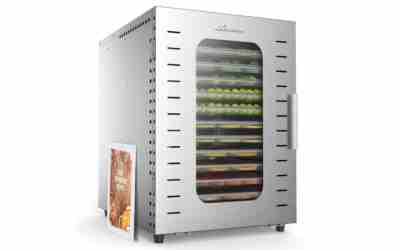 The 10 Best Beef Jerky Machine of 2026