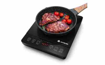 Best Portable Induction