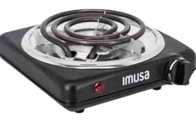 The 10 Best Portable Electric Burner of 2026
