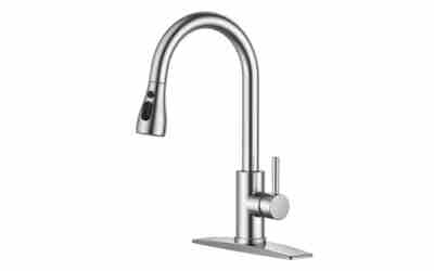 FORIOUS Kitchen Faucet Pull Down Sprayer Review 2026