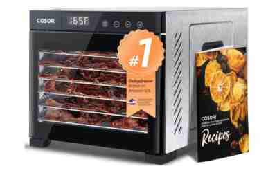 Cosori CP267-FD 6-Tray Stainless Steel Dehydrator Review 2026