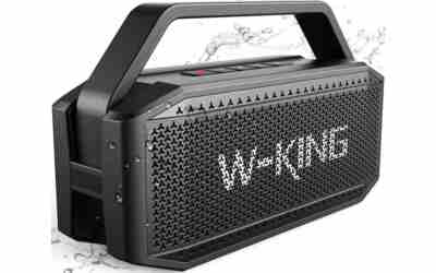 W-KING D9-1 Portable Bluetooth Speaker Review 2026