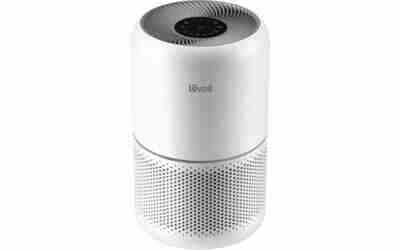The 10 Best Air Purifiers For Allergies of 2026