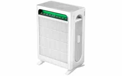 The 10 Best Air Purifiers For Mold of 2026