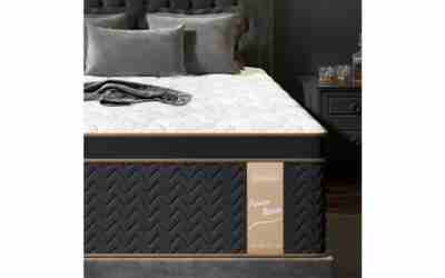 Best Firm Mattresses for Back Pain: Trial Length vs. the Firmness Label
