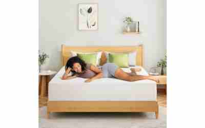 The 7 Best Mattresses For Bad Backs of 2026
