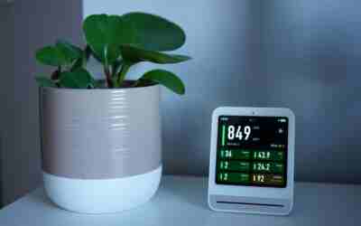How to Choose an Air Purifier for Your Home